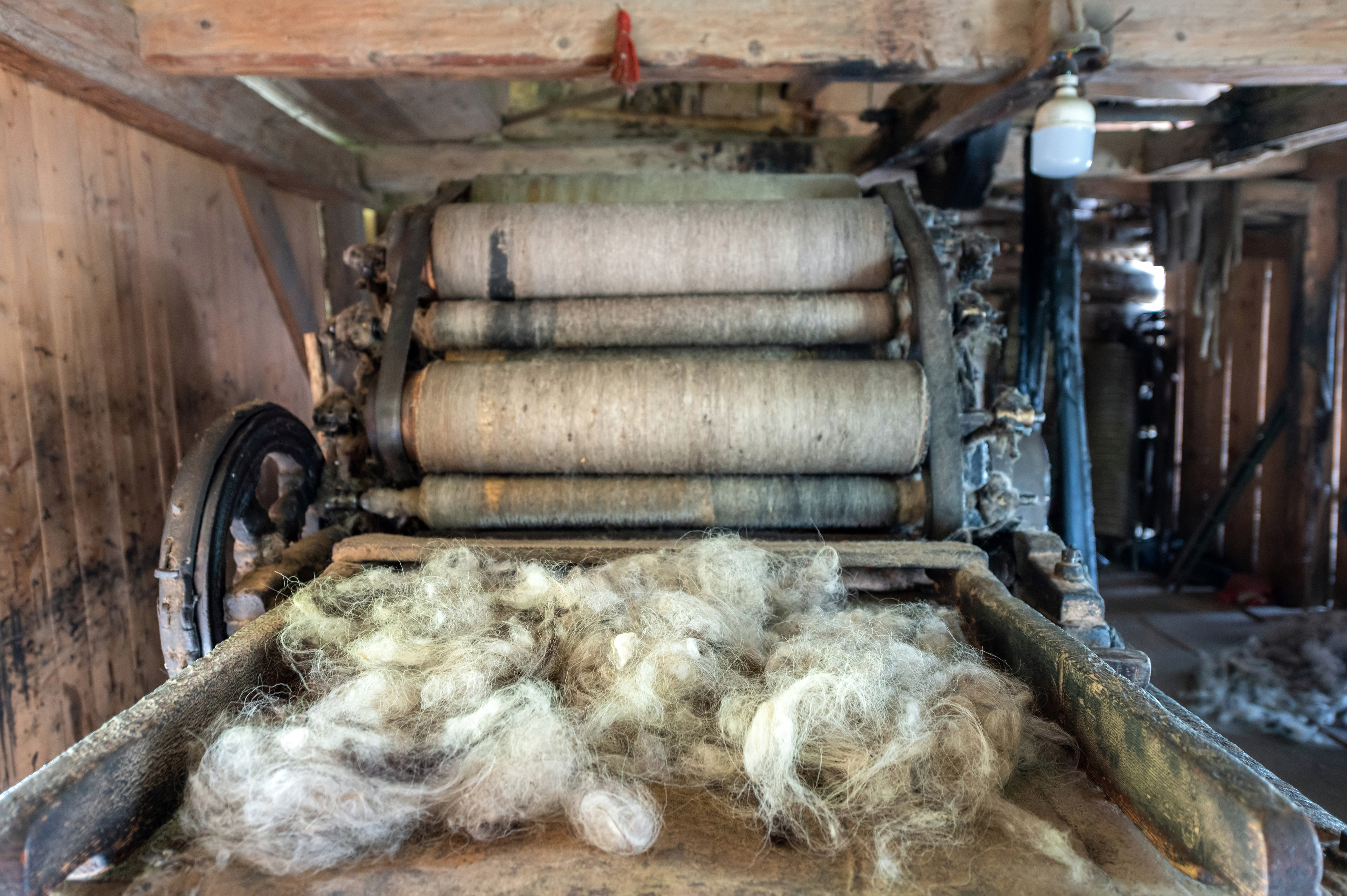 Rapier loom Machine Manufacturer, Paramount looms weaves wool fabric
